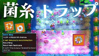 【Core Keeper】菌糸トラップでMoldアクセサリーと毒スライムを効率回収