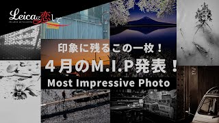 Leicaに恋して。４月のMIP（Most Impressive Photo）を発表しましたっ！今回のチョイスは一味違う？