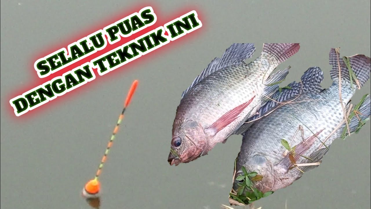 SELALU MEMUASKAN MANCING PAKAI TEKNIK INI |MANCING LOBANG| - YouTube