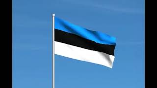 Estonia flag waving