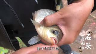 野钓：小伙用自制谷麦钓大板鲫，下竿就来口三个小时连竿不停 Wild Fishing