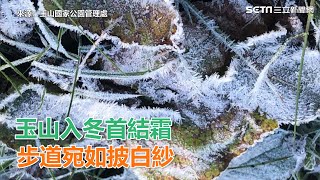 玉山入冬首結霜　步道宛如披白紗｜三立新聞網SETN.com