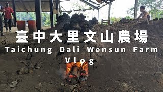 臺中大里文山休閒農場 (Taichung Dali Vlog)