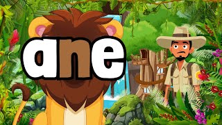 _ane | Magic E | Word Family | Bossy E | CVCE | Reading | Writing | Phonics