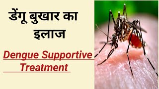 Dengue Treatment In Hindi / Dengue Prevention / डेंगू बुखार इलाज / डेंगू का उपचार