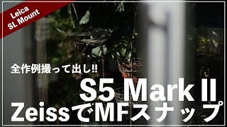 LUMIX S5 Mark 2とZeissのMFレンズで撮る東京・代官山。【POVスナップ/iPhone13mini】