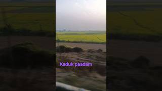 Kaduk Paadam Oru Train Yathra