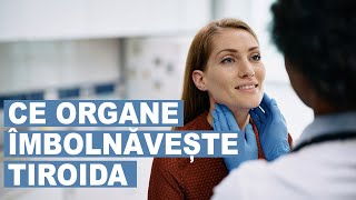 Tiroida bolnavă: ce organe poate îmbolnăvi?