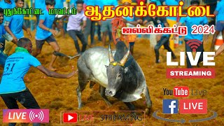 🔴LIVE : ஆதனக்கோட்டை  ஜல்லிக்கட்டு 2024 | Aadanakkottai  Jallikattu  2024 Live