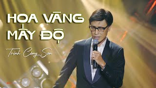 Hoa Vàng Mấy Độ (Tuấn Ngọc)