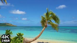 “Blue Lagoon Vista” 4K 2 Hour Nature Scene: Tropical Beach, Palm Tree, Blue Sky \u0026 White Sand - Fiji