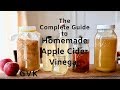 How to Make Apple Cider Vinegar at Home