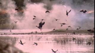 Pre season pintail California waterfowl rocket net