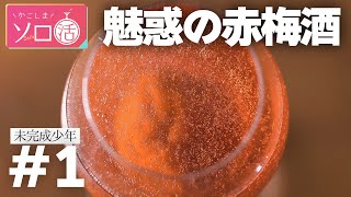 オリジナル赤梅酒＆ピリ辛砂肝炒め 「未完成少年」かごしまソロ活 #1