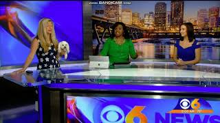 WTVR: CBS 6 News Early Morning At 5am Open--07/04/19