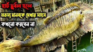 ভয়ংকর মৎস্য দানব | journey to the west (2013) movie explain in Bangla | Thriller movie explain