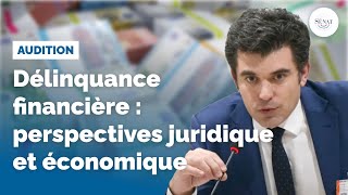 Délinquance financière : perspectives juridique et économique