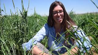 Merri Metcalfe SWELL Interview