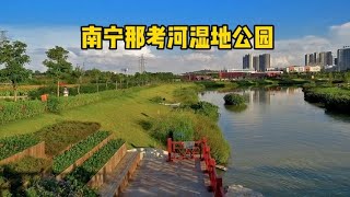 实拍广西南宁兴宁东那考河湿地公园，景色越发漂亮，简直就像仙境