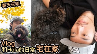 Vlog 春天來啦｜宅在家｜我和Hola的日常