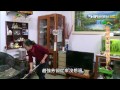 20150226台灣是我家 四川媳婦甘願人生