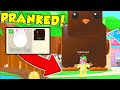 I PRANKED DJ into thinking he HATCHED A SECRET PET in Bubble Gum Simulator!