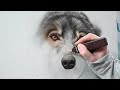 airbrush this realistic wolf painting today