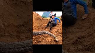 Python snake/ o my god #python#tending কিভাবে অজগর সাপের হাত থেকে উদ্ধার করল মেয়েটিকে দেখুন #shorts