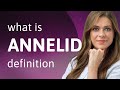 Annelid — definition of ANNELID