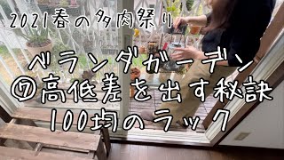 【多肉植物】ベランダガーデニング⑦ベランダにおススメの100均ラック【春の多肉祭り】