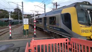 Matangi at the Up Plimmerton Pedestrian Crossing