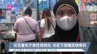 近百童死于急性肾损伤  印尼下架糖浆咳嗽药【2022.10.19 八度空间华语新闻】