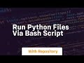 run python files via bash script