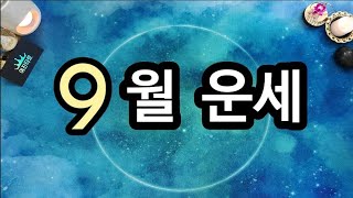 [타로] 9월엔 어떤 특별한 일이 일어날까? 🌅