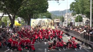 2017　豊川おいでん祭り　名古屋学生チーム『鯱』2回目