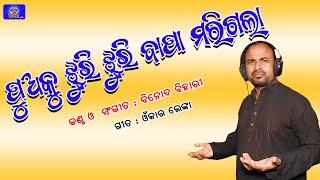 KUADE GALU RE CHAGALA // କୁଆଡେ ଗଲୁରେ ଚଗଲା // VIRAL  SONG // BINOD BIHARI // ARPAN TV