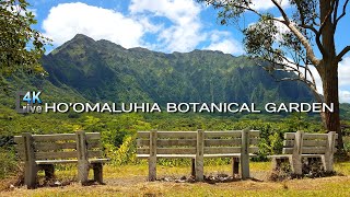 Hoomaluhia Botanical Garden Campsites | From Honolulu | Kaneohe, Oahu 🌈 Hawaii 4K Driving