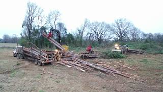 Sturrock Logging - Clear Cut Rusk County ,Texas