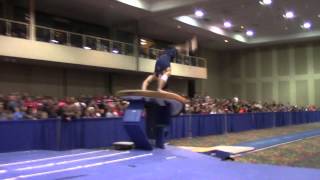 CJ Maestas - Vault - 2014 Winter Cup Challenge Finals