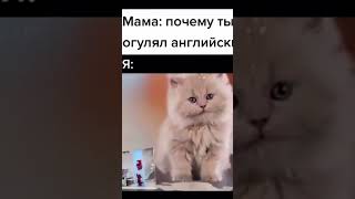 Хахахахахахаха мем