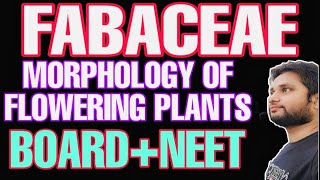 FABACEAE: MORPHOLOGY OF FLOWERING PLANTS :- BOARD+NEET (CBSE, ICSE, BSEB) : BY- SAHIL SIR