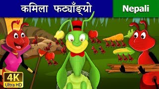कमिला  फट्याँङ्ग्रो | The Ant and The Grasshopper in Nepali | Nepali Fairy Tales | Wings Music Nepal