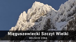 Mięguszowiecki Szczyt Wielki zimą - wejście od Hińczowego Stawu