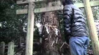 鎌を刺すと願いが叶う...ちょっと怖い鎌八幡宮（和歌山神社）sickle shrine