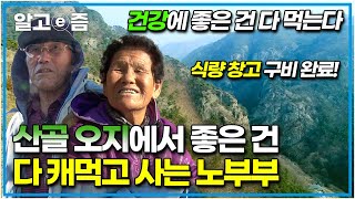 깊은 산골 오지 마을, 집 창고에 건강에 좋은 온갖 재료를 쌓아두고 사는 노부부! 물 맑고 공기 좋은 시골에서 직접 전통 방식으로 음식 만들어 먹는 일상│장수의 비밀│알고e즘