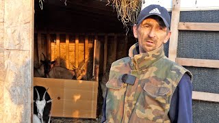 Mujo nije prevario donatore, štala puna koza a uskoro i ovaca i krava