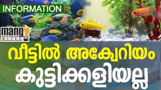 വീട്ടില്‍ അക്വേറിയം വയ്ക്കുമ്പോള്‍ ശ്രദ്ധികേണ്ട കാര്യങ്ങള്‍ | WHERE TO KEEP AQUARIUM