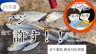 【20日目】千葉県検見川浜突堤で釣りをする【アジ釣れたので全て許す！！！】