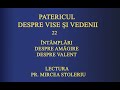 22 ÎNTÂMPLĂRI DESPRE AMĂGIRE -  DESPRE VALENT