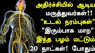 உடல் நரம்புகள் இரும்பாக 4 உணவுகள் மட்டுமே!|Nerves Strengthening Foods in Tamil|Nerves Healthy Tips